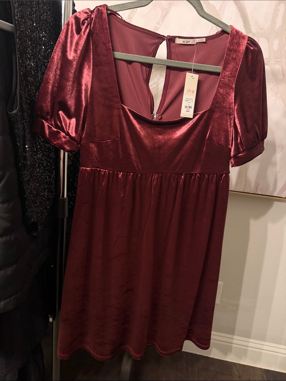 Francesca's Collections Burgundy Velvet Scoop-Neck Mini Dress